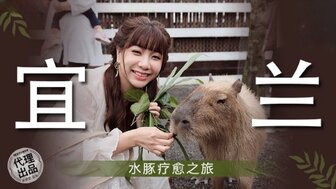 MM078 宜蘭 水豚療愈之旅