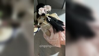 在貓咪旁邊猛操穿著公主裙的主人 浪叫聲不斷
